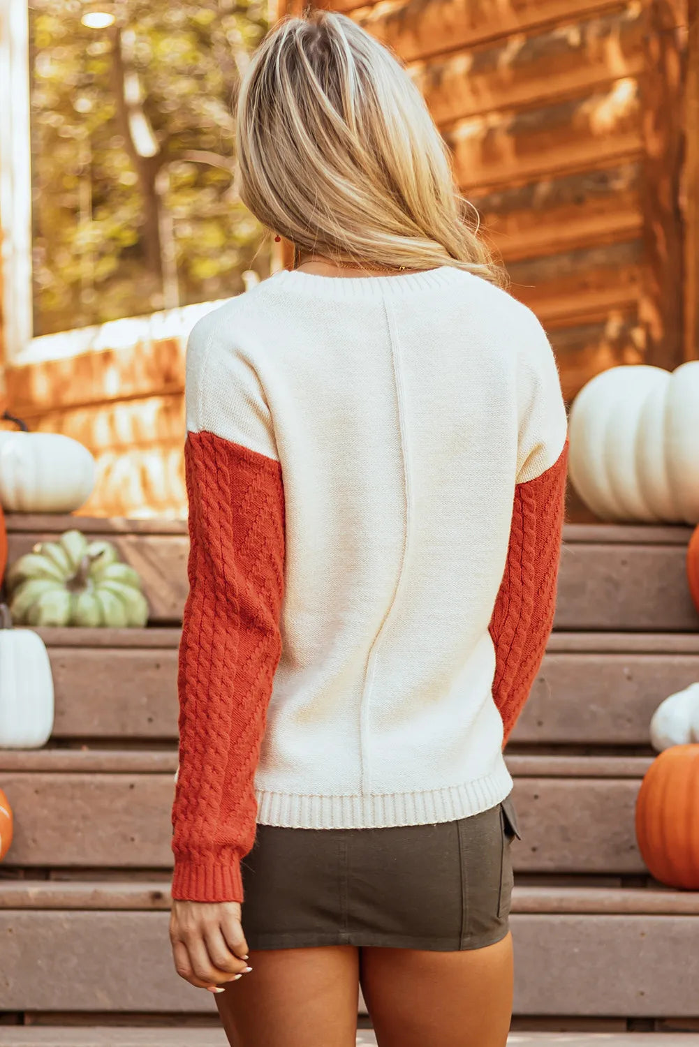 Color Block Round Neck Sweater